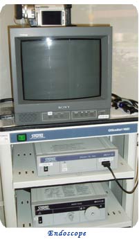 Endoscope
